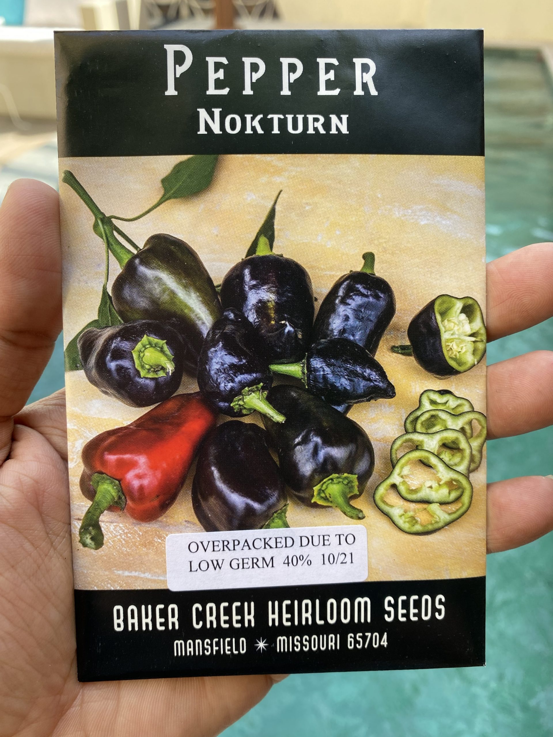 Nokturn Sweet Pepper Local Roots