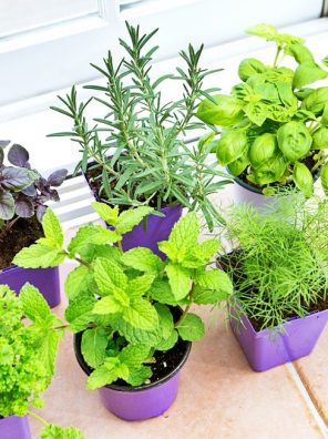 Herbs - أعشاب