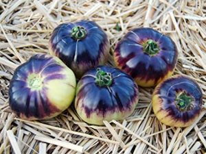 Sart Roloise Tomato - Local Roots